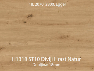 h1318 st10 divlji hrast natur 1 jpg